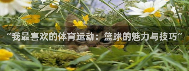 意昂平台注册