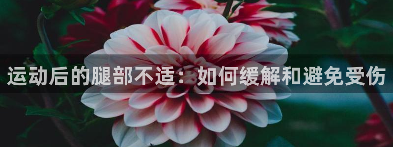 意昂5