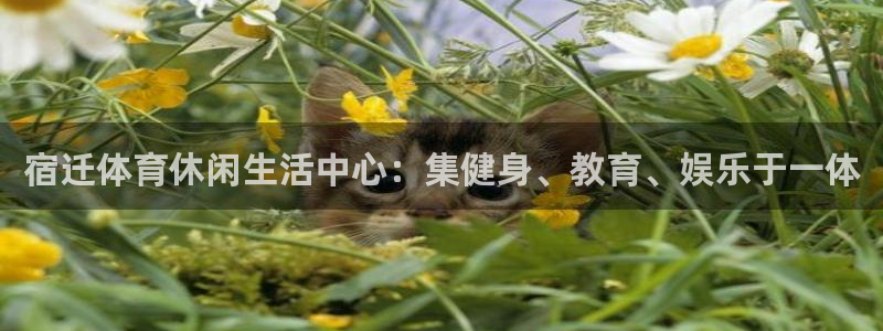 意昂体育eon