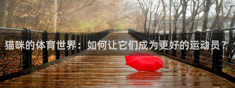 意昂代理