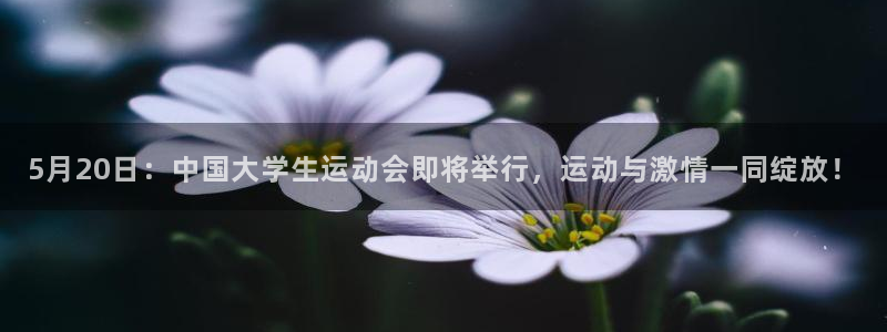 意昂体育注册