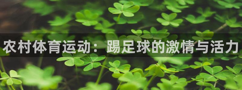 意昂体育代理申请流程