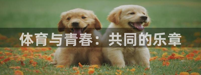 意昂体育4