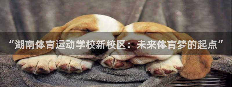 意昂2平台登录