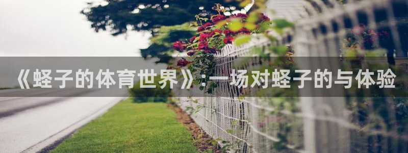 意昂体育代理申请流程