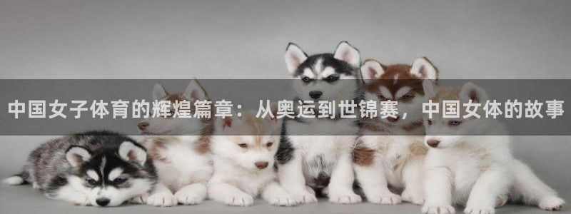 意昂体育代理申请流程