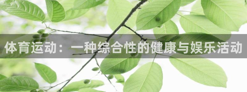 意昂2体育登录入口